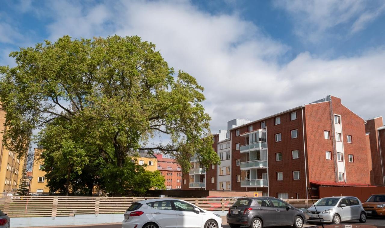Araucarias Apartment 科特卡 外观 照片